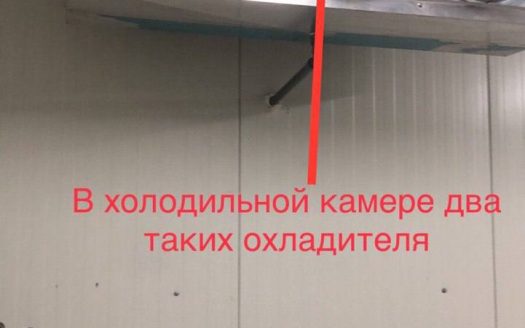 Продается производство грибов шампиньонов