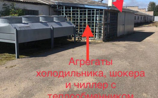 Продается производство грибов шампиньонов