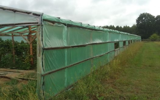 Продается действующее КФХ в Марьиной Горке