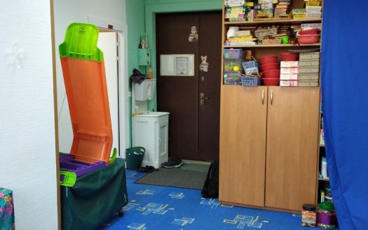 Продается детский образовательный центр на ул. Маяковского