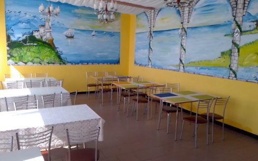 Продается кафе в а/г Гайна (собственность)
