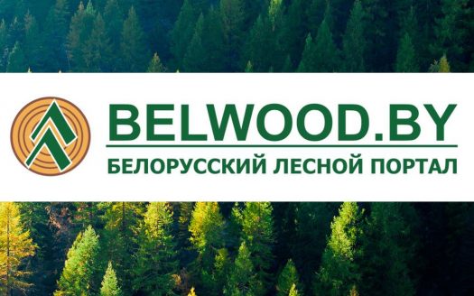 Продажа бизнеса Белорусский Лесной Портал Belwood.by