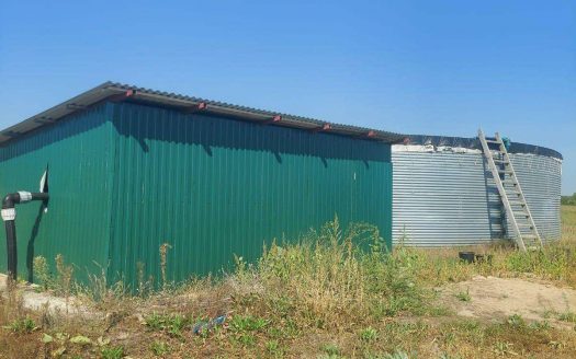 Продается плантация голубики в Беларуси